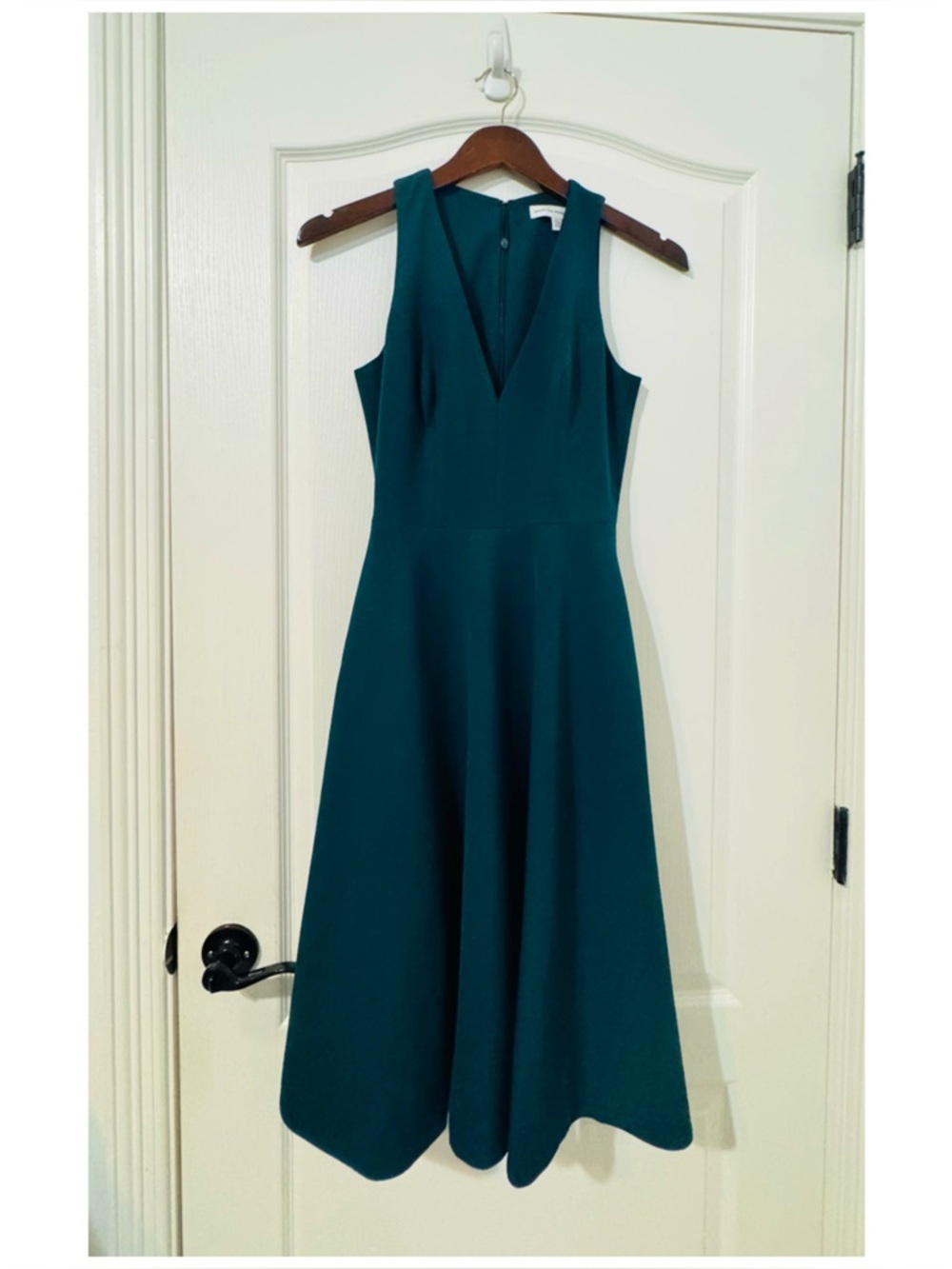 Dress the Population fit and flare dress